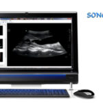 Peridot Technologies Introducing Innovative Ultrasound Reporting_ Image Management_ Ultrasound Workstation and Windows Phone 7 DICOM Viewer Solutions logo/IT Digest
