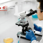 China SXT Pharmaceuticals, Inc. Adds Newly Developed Kuihuapan and Zhudanfen Advanced TCMP Products, and Announces the Expected Continuous Growth of Its Production Capacity of Luxuejin
