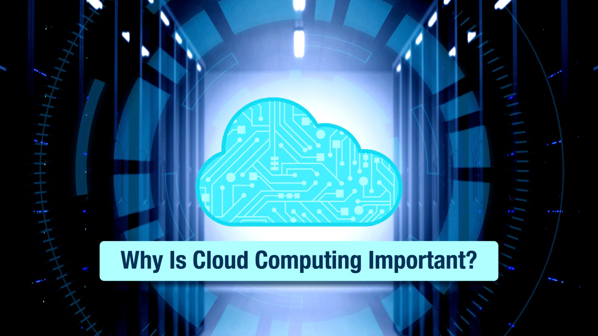 Top Cloud Computing Trends for a Winning Business in 2023