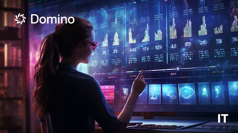 Domino Data