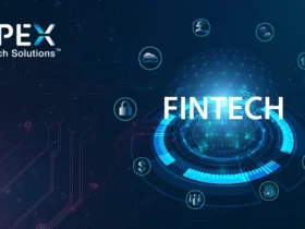Apex Fintech Solutions