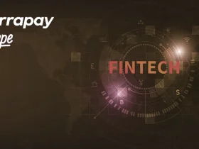 TerraPay