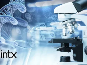 Nintx