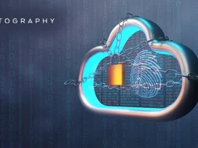 Netography