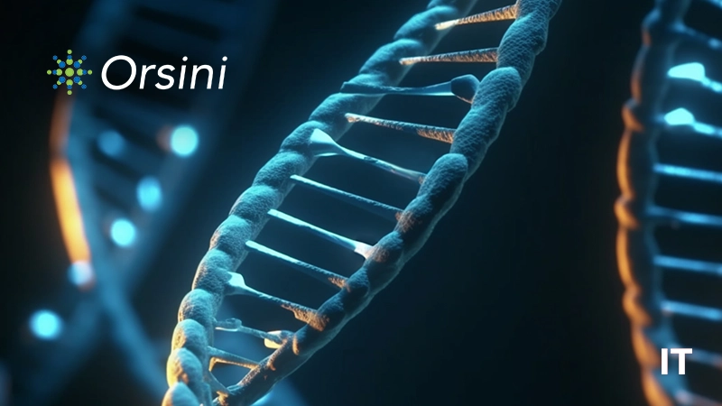 Orsini