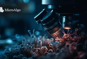 MicroAlgo