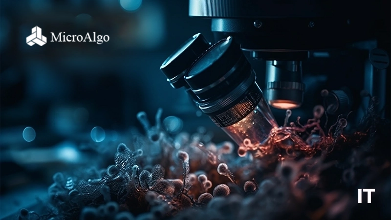 MicroAlgo