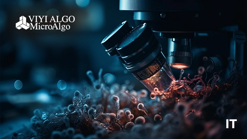 MicroAlgo