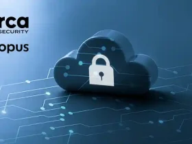 Orca Security