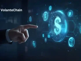 Volante Labs