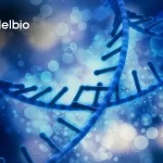 Parallel Bio