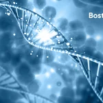 BostonGene 