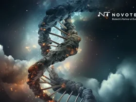 Novotech 