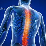 Wenzel Spine