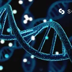 Seek Labs