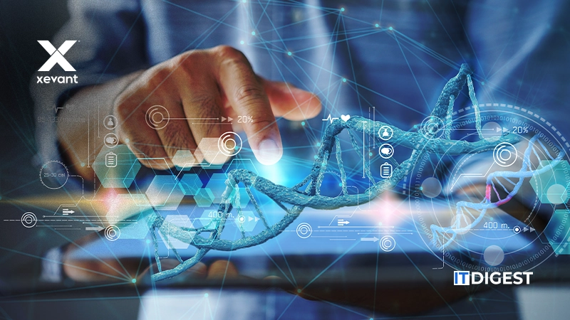 Xevant